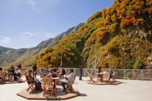 秋の立山♪アルプスの美景☆紅葉の立山ロープウェイ乗車＆大観峰テラス　2025