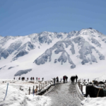 立山雪の大谷直行バスツアー