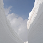 立山雪の大谷直行バスツアー