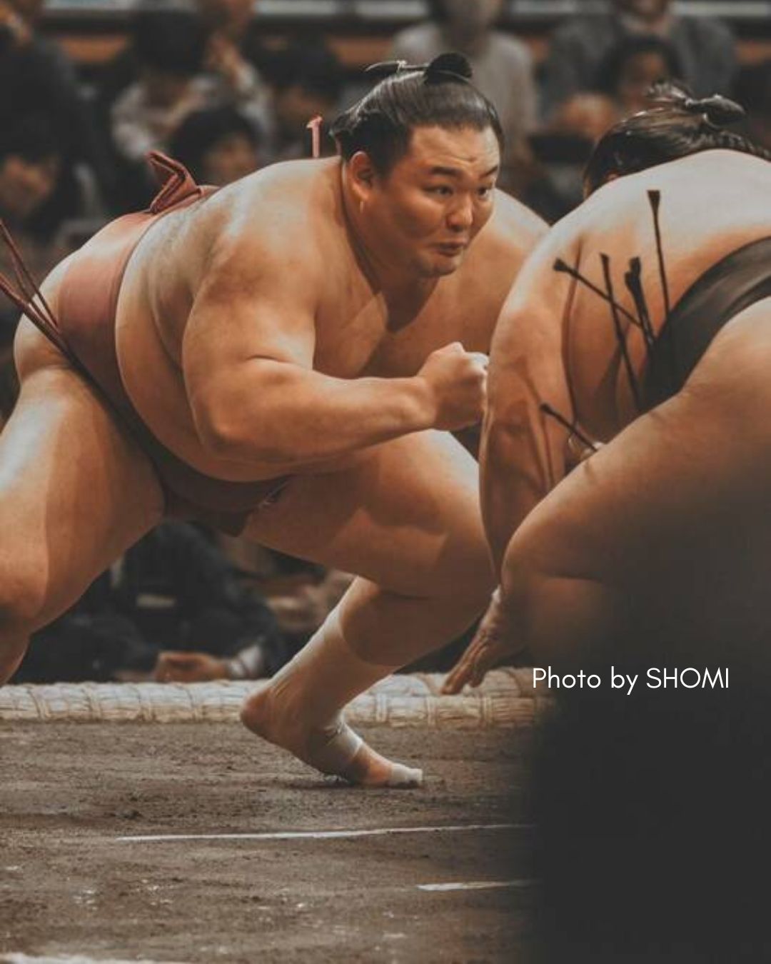 がんばれ朝乃山！大相撲7月名古屋場所観戦ツアー